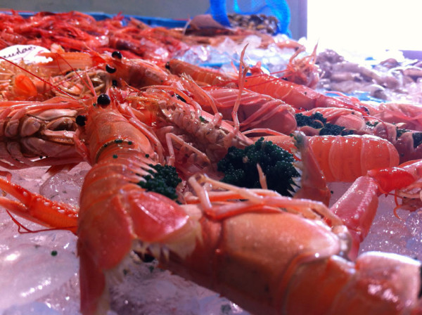 The famous Palamos prawns (gambas de Palamos)